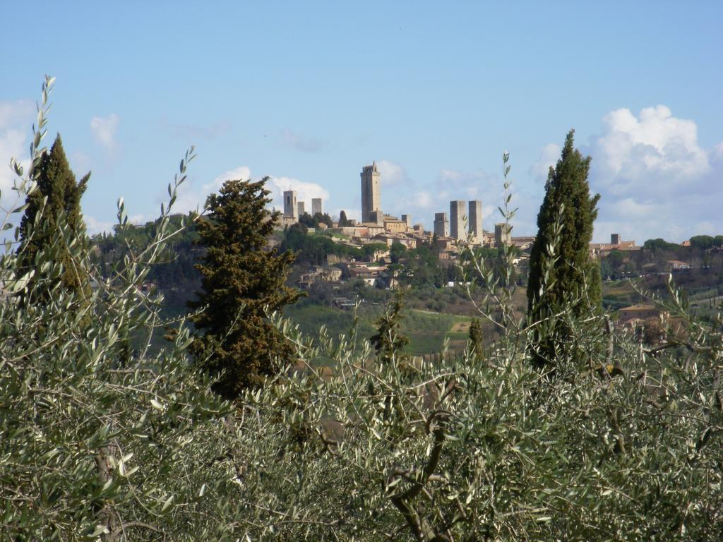 Podere Bellavista San Gimignano Eksteriør billede